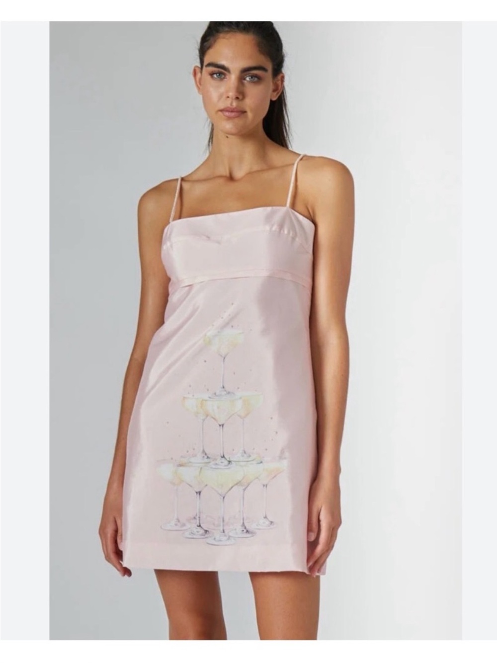 Rachel Antonoff Gwen Champagne Tower Dress 6 $298 ballet pink